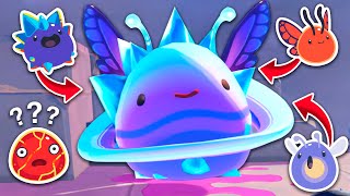 TODAS las COMBINACIONES del SLIME DERVICHE en SLIME RANCHER 2 [upl. by Lunn]