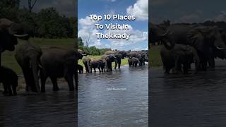 Top 10 Places to visit in Thekkady new trending youtubeshorts shorts [upl. by Kale]