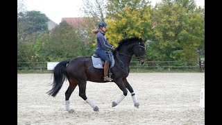 Dorothee Schneider erklärt wie Grundgangarten aufpoliert werden [upl. by Haleak623]