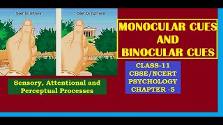 CLASS11 PSYCHOLOGY CHAPTER5 Monocular Cues and Binocular Cues cbse ncert class11psychology [upl. by Singhal]