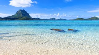 A Beautiful Beach in Bora Bora [upl. by Yboj]