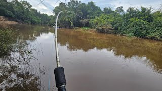 PESCAMOS NO ENCONTRO DO RIO PARDO COM O RIO VERMELHO [upl. by Acinorav720]