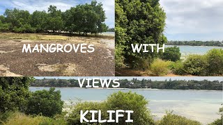 MANGROVES WITH THE BEST VIEWKILIFI KENYA [upl. by Caylor]