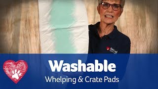 Washable Whelping and Crate Pads [upl. by Klemm]