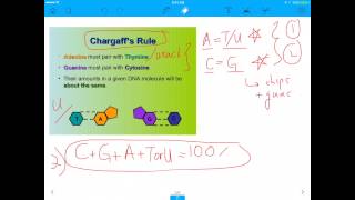 MCAT Question Base Pairing in the HIV Genome [upl. by Mariellen]