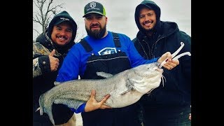 Catching Catfish In Shallow Water At Lake Lavon TX [upl. by Eetsirk344]