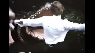 Alligator 1980  Trailer [upl. by Lorenz]