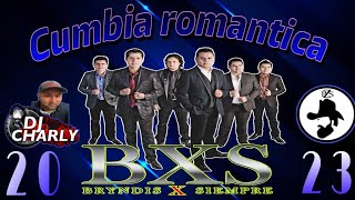 BRINDIS X SIEMPRE MIX 2023 DJ CHARLY PzS [upl. by Teriann549]