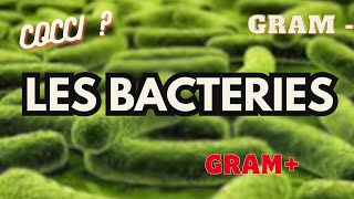 Comment les BACTERIES nous rendent malades [upl. by Wettam51]