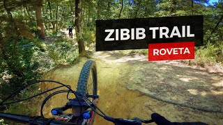 MTB Enduro  Zibib pump track nella foresta  Roveta  Firenze [upl. by Emile121]