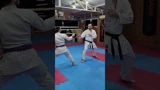 Bunkai Kata Empi 01  Clube Karate X Andre Maraschin [upl. by Anglo]