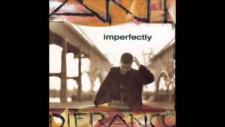 Ani DiFranco  Imperfectly [upl. by Sharline]