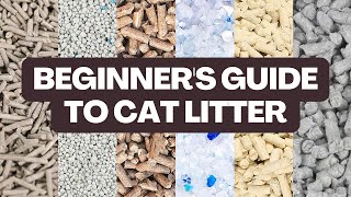 What TYPE of Cat Litter Should You Buy  Beginners Guide [upl. by Nichol508]