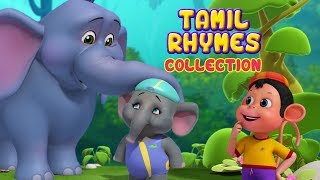 சின்ன யானை and more Animal Rhymes  Tamil Rhymes for Children  Infobells [upl. by Auhsuj953]