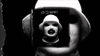 Schoolboy Q  Hoover Street Lyrics [upl. by Liahkim]