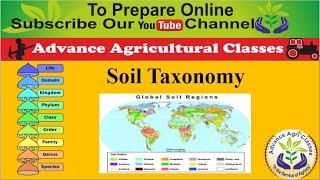 Soil Taxonomy part  8 HindiEnglish Agricultural Field Officer IBPS [upl. by Kilam]