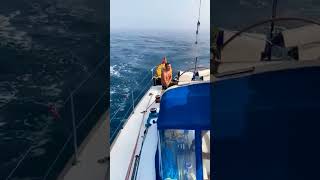 Orcas attack boat and take control of rudder orca [upl. by Porche]