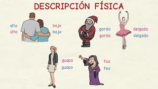 Aprender español Vocabulario descripción física nivel básico [upl. by Ambrogino]