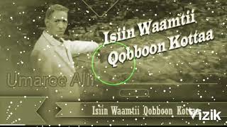 Umaree AliiIsiin waantii Qobboon Kottaa New Oromoo musicmp32024 [upl. by Touber]