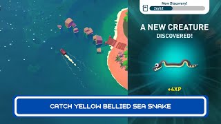 Catch Yellow Bellied Sea Snake  Creatures Of The Deep Part 37 [upl. by Rosie566]