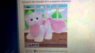 Webkinz Tickled Pink Cat New for June 2011 [upl. by Airitac]