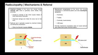 Radicular Pain Versus Radiculopathies EXPLAINED [upl. by Farhsa]