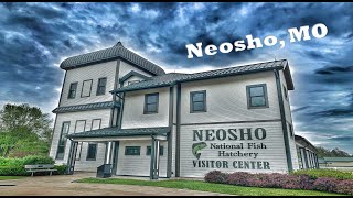 Neosho MO Wandering Walks of Wonder Slow TV Walking Tour 4K [upl. by Enovi581]