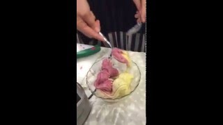 Come fare il gelato con un estrattore di succo [upl. by Ennovyahs150]