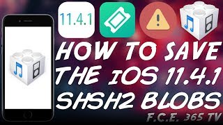 How To Save iOS 1141 SHSH Blobs For Downgrades  Save Them Now [upl. by Yerfej]