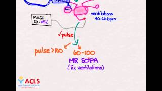 NRP Overview and Review by ACLS Certification Institute [upl. by Jory]