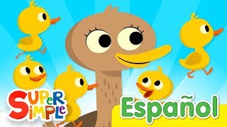 Cinco Patitos  Canciones Infantiles  Super Simple Español [upl. by Joyce649]