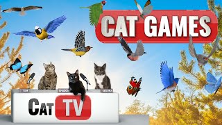 Cat TV  3D Birds and Butterflies in Serene Nature Scenes 🌿🦋  Calming Sounds and Music for Cats [upl. by Nadaha]