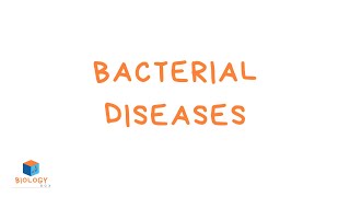 GCSE Biology  Infection amp Response  6 Bacterial Diseases [upl. by Thamos]