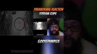 Paranormal Reaction Stream Clip Short [upl. by Nnylecyoj972]