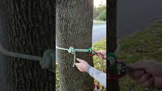 Arborist SRT canopy spar anchor with dmm ring [upl. by Emiolhs]