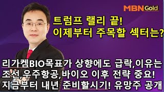 이효근의 텐텐텐 1113트럼프랠리 끝 이제부터 주목할 섹터는 리가켐 목표가 상향에도 급락 이유는 조선바이오우주 이후전략중요 지금부터 내년을 준비할 유망주 공개 [upl. by Strawn]