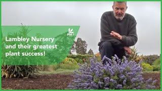 Lambley Nursery and their greatest plant success [upl. by Inaj]