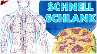 Lymphödem bekämpfen 5 Min täglich zur Gewichtsreduktion durch diese neuen Lymphödem Übungen [upl. by Doak]