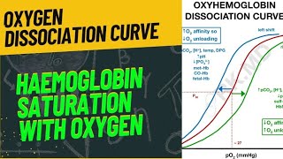 OXYGEN DISSOCIATION CURVE  FULLY EXPLAINED  neet2024 biology zoology respiration [upl. by Elisabetta687]