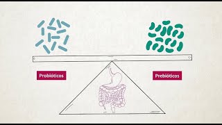 La Importancia de los Prebióticos y Probióticos [upl. by Mandeville]