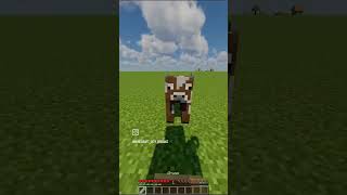 secret name tags in Minecraft 🙀minecraft like subscribe [upl. by Aiehtela76]