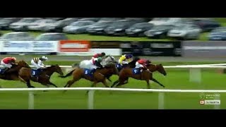 Killarney August Festival highlights featuring the At The Races H´cap H´dle Grade B  240818 [upl. by Esetal]