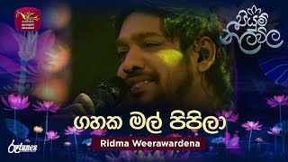 Gahaka Mal Pipila  ගහක මල් පිපිලා  Ridma Weerawardena  Piyum Neela Vila  Roo Tunes [upl. by Hoang787]