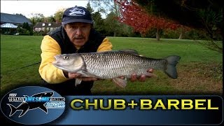 Barbel amp Chub fishing on River Kennet  Series 2  Episode 6 [upl. by Ailee264]