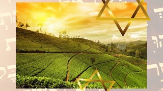 ✨✅ KABALAH ENSEÑANZAS Y MENSAJES✨kabalah torah isaacthau cabala cursoonline [upl. by Enidaj]