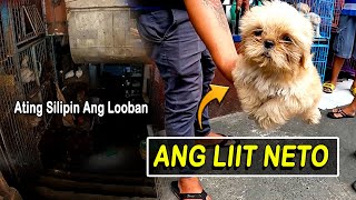 BUDGET MEAL NA MGA PETS SA ARRANQUE ATING SILIPIN  ARRANQUE SCENE [upl. by Nadirehs]