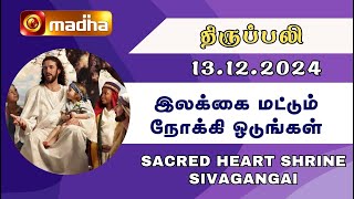 தமிழ் திருப்பலி  13122024  Holy Mass in Tamil  0600 AM  MADHA TV [upl. by Calley543]