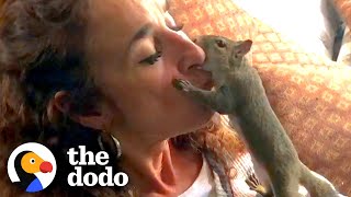 Squirrel Visits His Rescuer Every Day For Years  The Dodo [upl. by Eaner404]