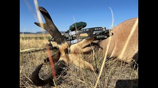 24 Wyoming Archery Antelope Hunt [upl. by Benoit698]