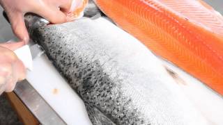 How to fillet a Salmon [upl. by Wakerly371]